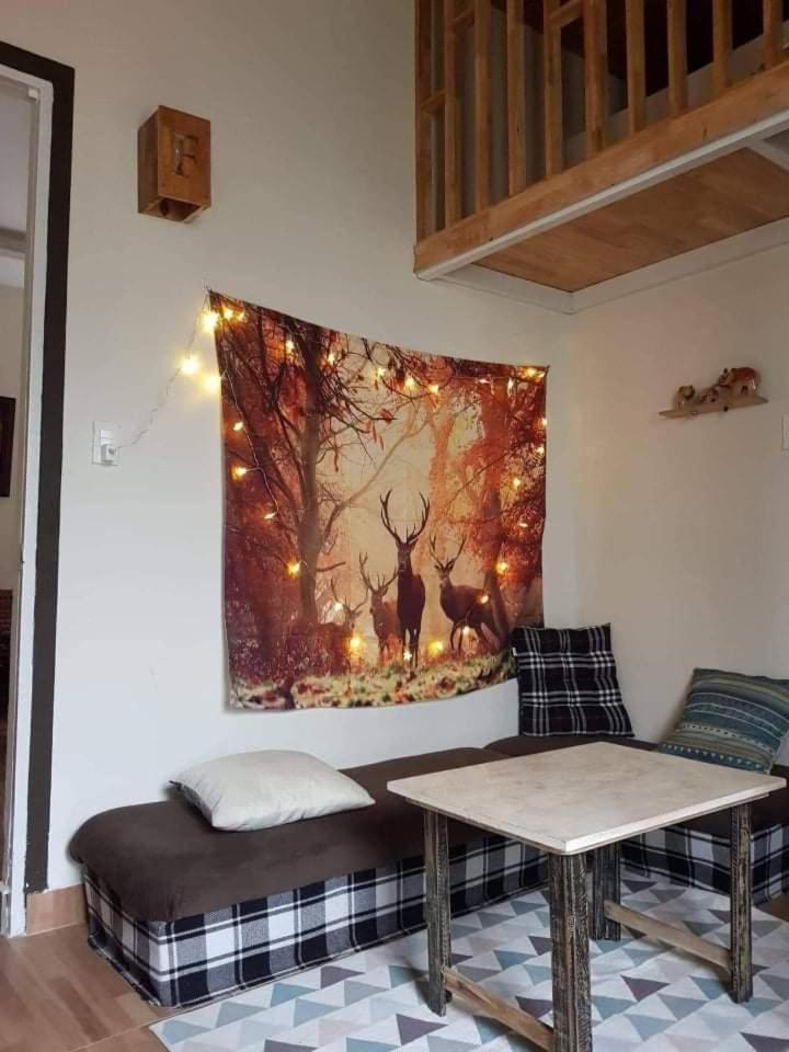 Forelsket 2 大叻 客房 照片